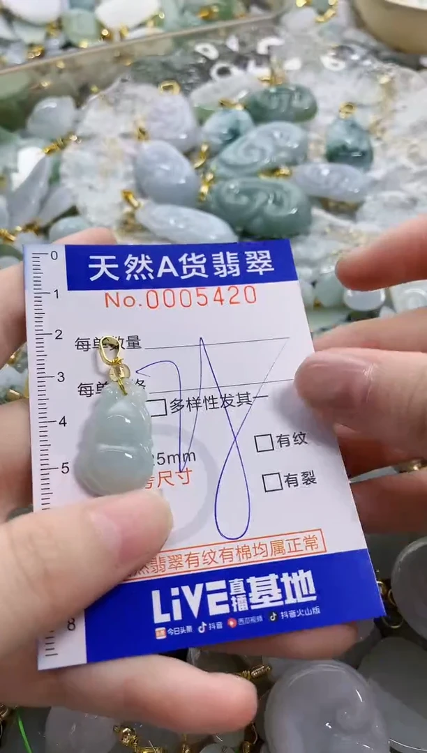 颈饰未镶嵌翡翠天然A货翡翠