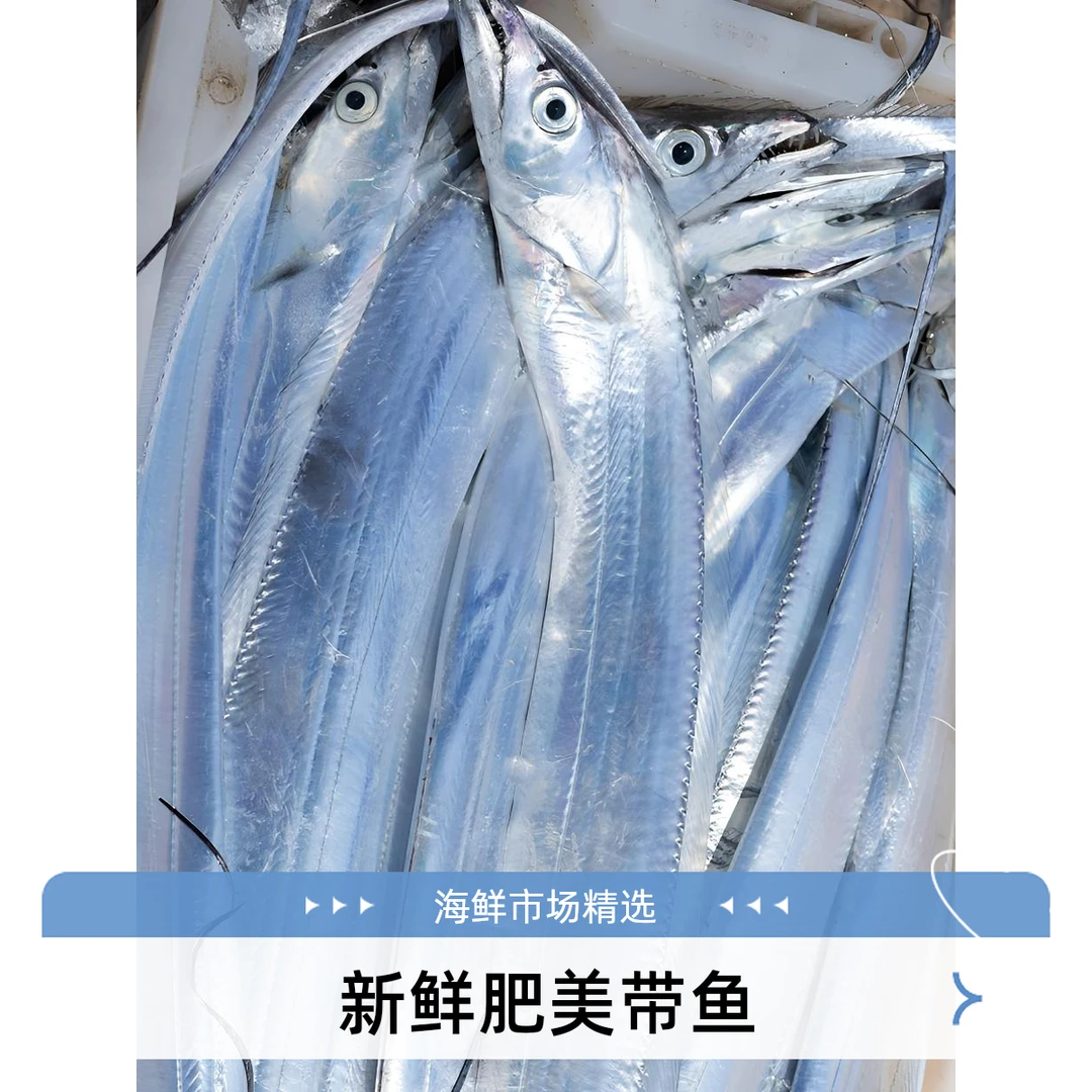 大号本地油带鱼10斤20条上下 天津同城当日达！个别破肚，介意勿拍。