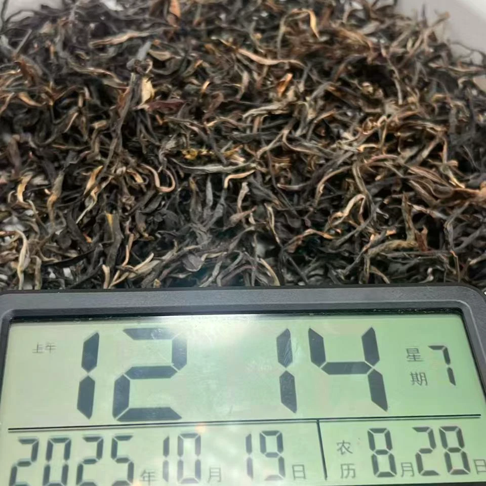 【助农】普洱墨江凤凰山 2024年 普洱生茶 0867-10月18日