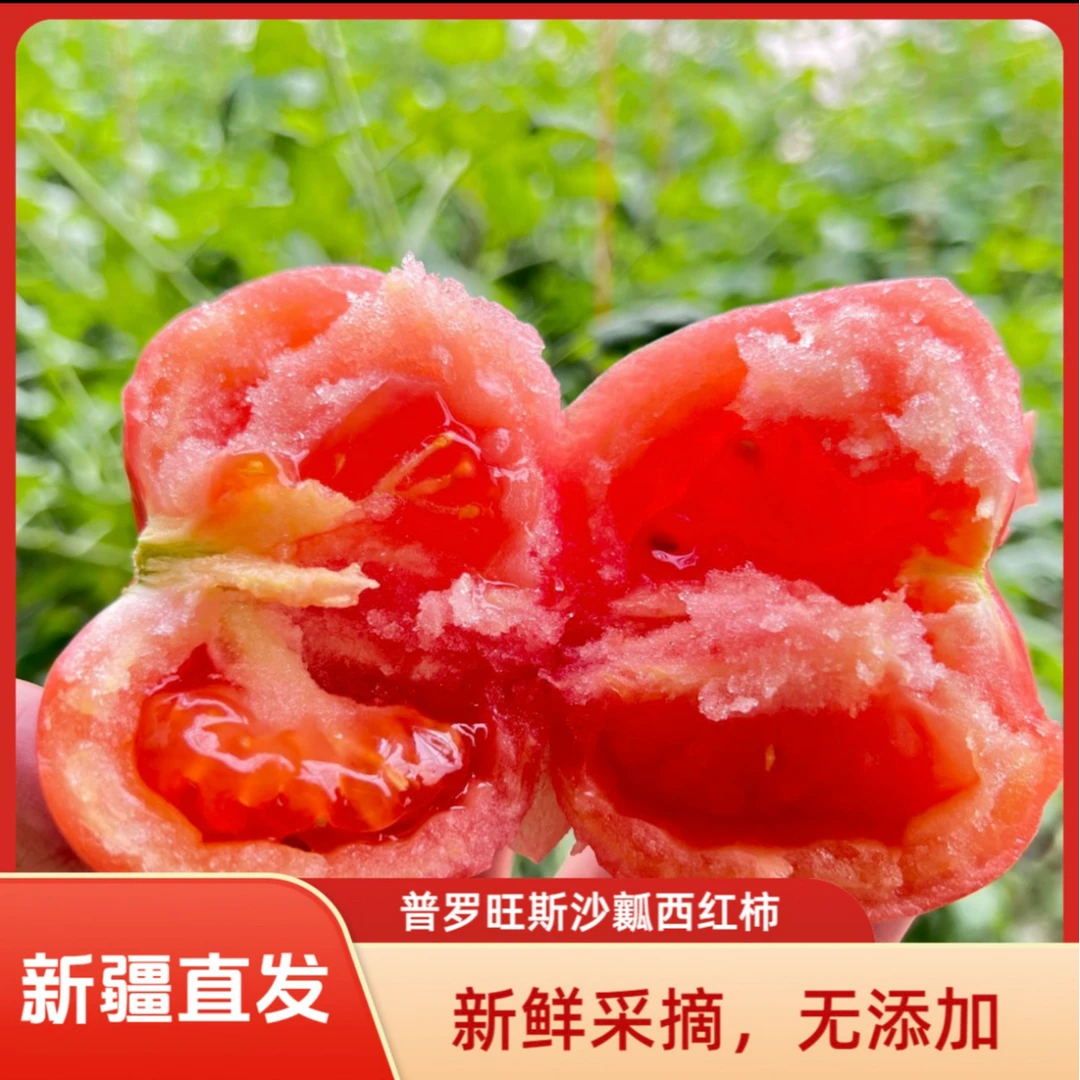 【只发新疆】正宗吐鲁番产地直发普罗旺斯沙瓤西红柿5斤自然熟
