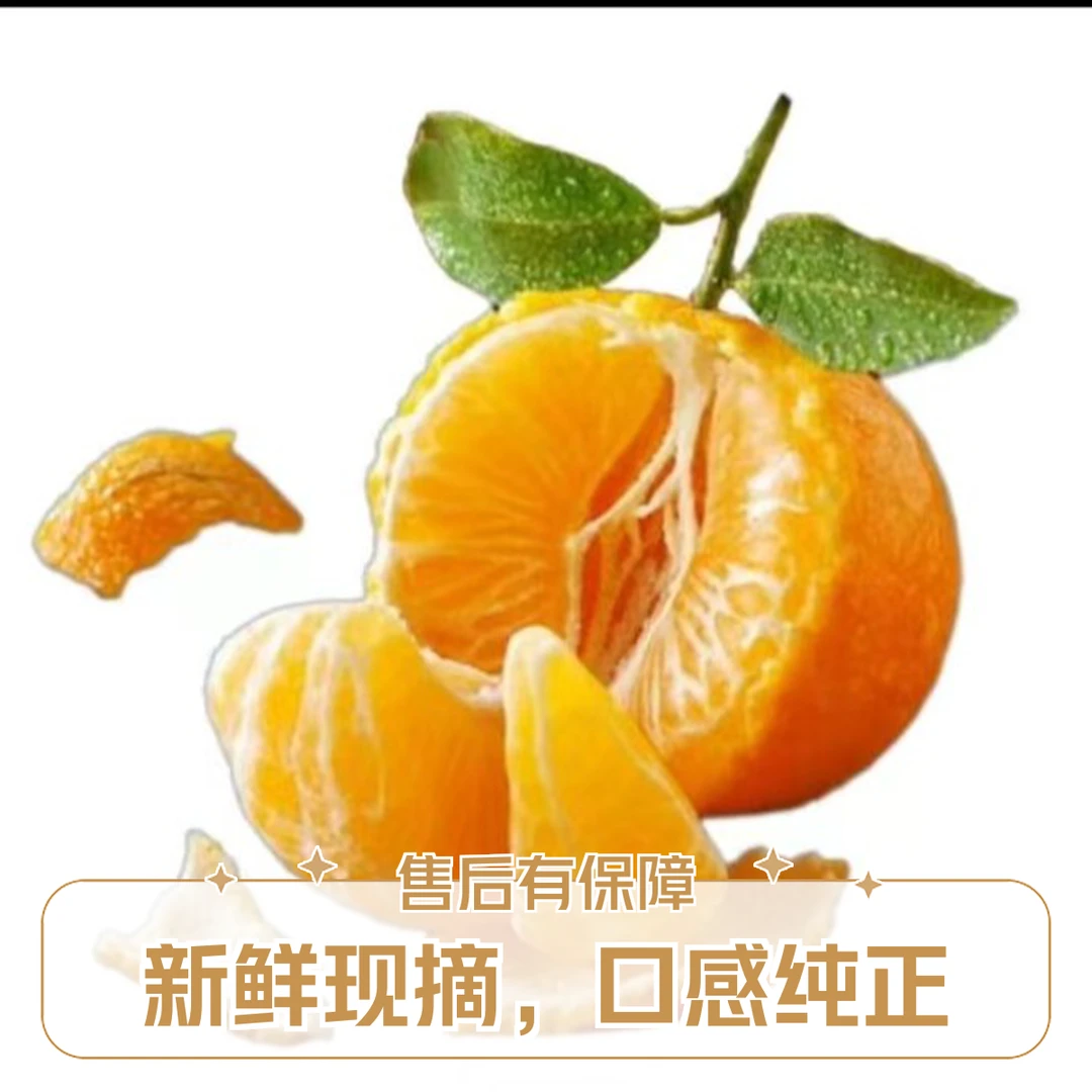 【水果】蜜桔/斤