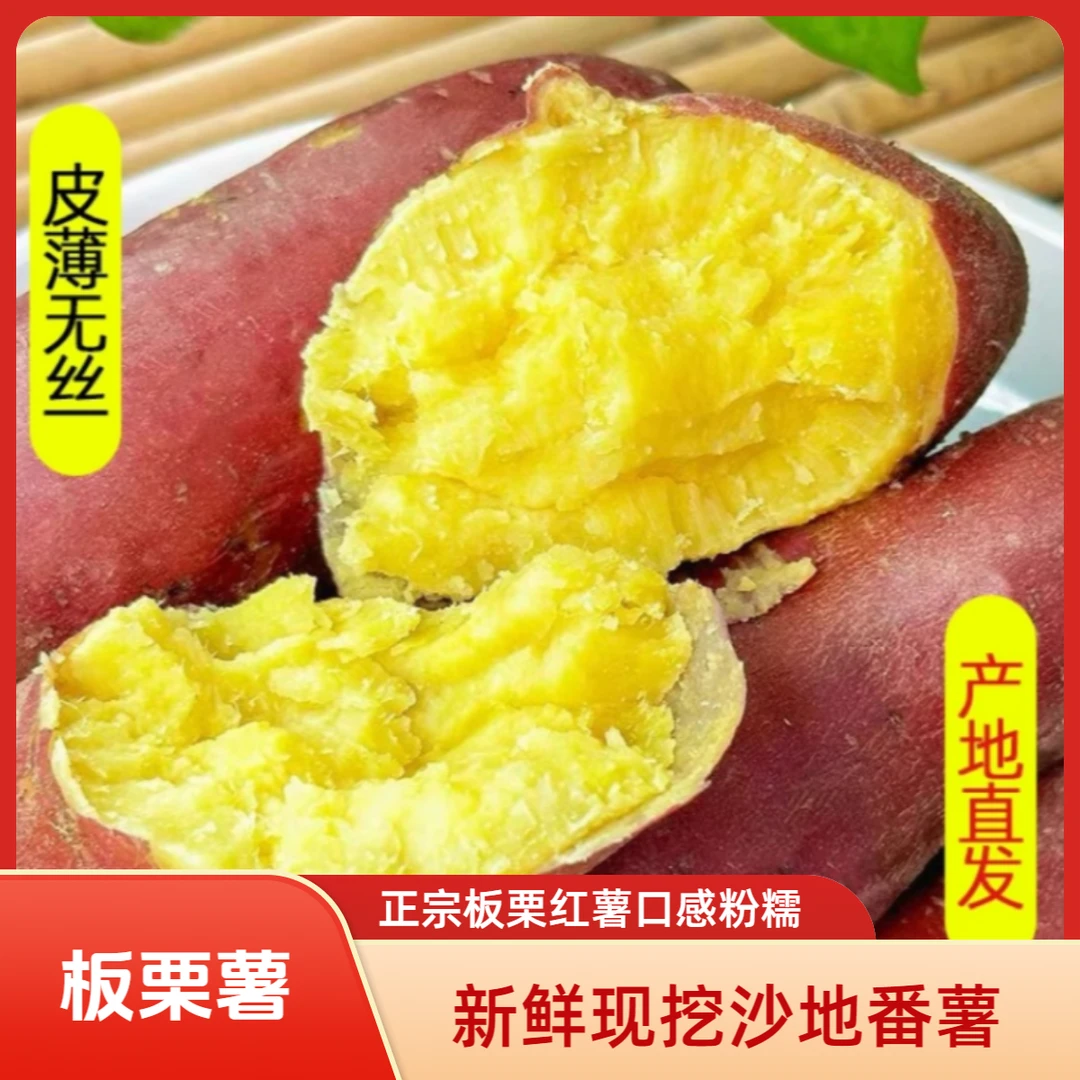 正宗板栗红薯5/9斤新鲜现挖沙地番薯粉糯香甜农村淡黄心地瓜好吃