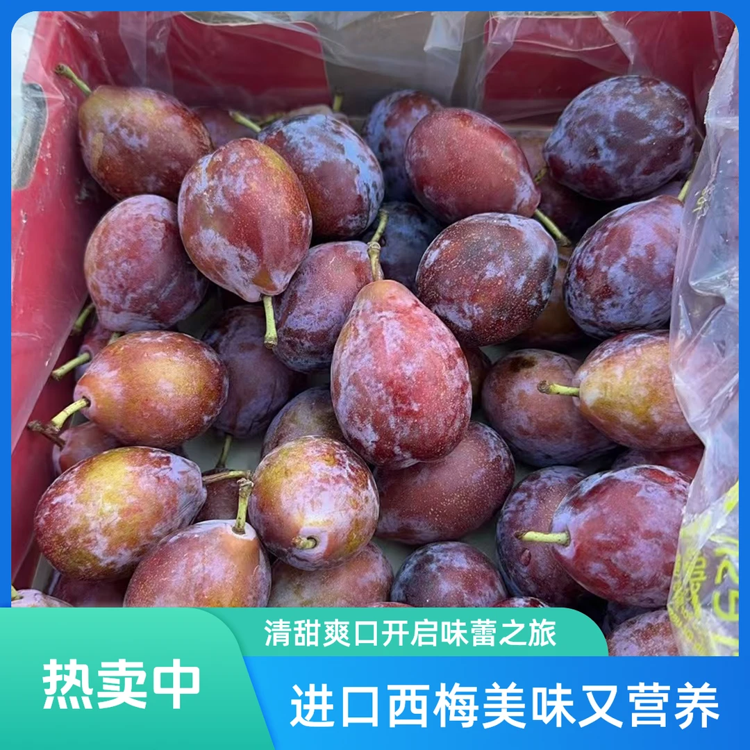 【高兴优选】进口智利 金安达 西梅2J【5斤±0.2】【顺丰次日达】