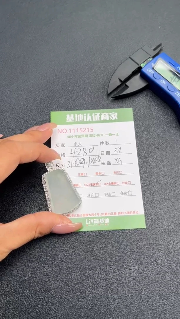 翡翠银S925镶嵌颈饰多人