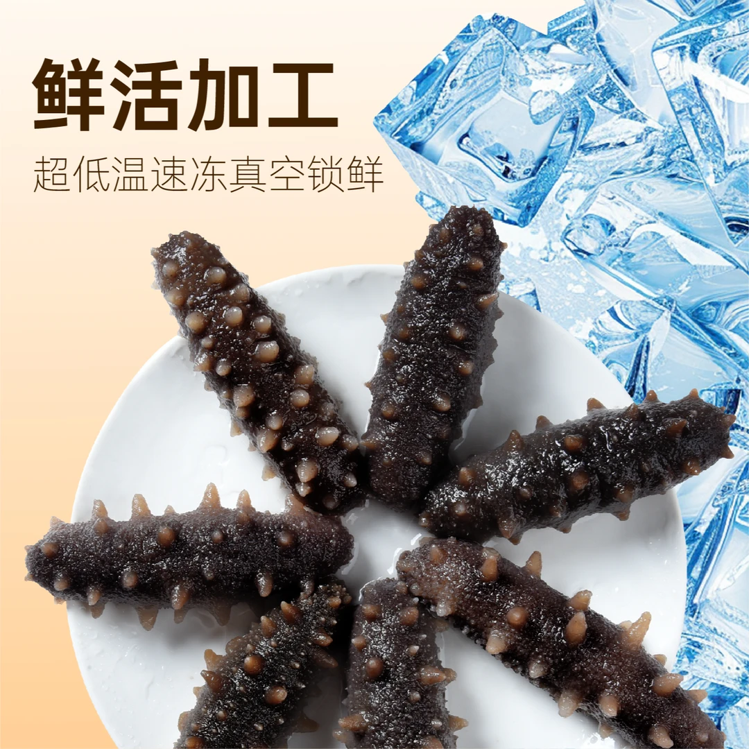 即食海参冷冻海参高蛋白250g  约12-14头 福利品