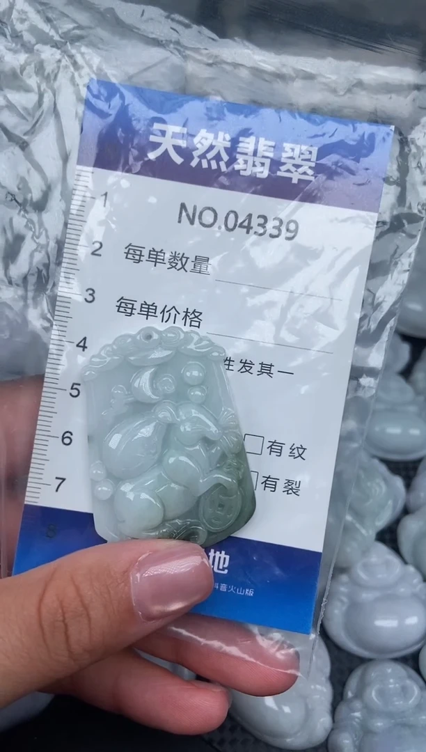 颈饰未镶嵌翡翠纯天然A货翡翠4339