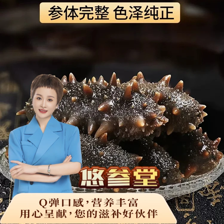 少霞专属 大连海参20头500克装播底参