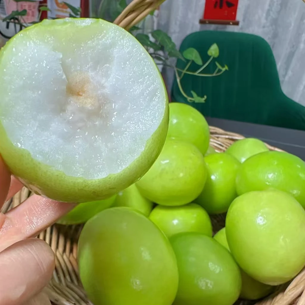 牛奶青枣300g 1盒