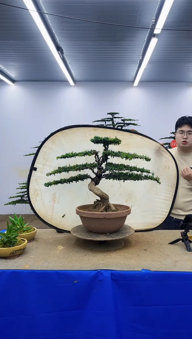 完全开放一物一拍，所见即所得
