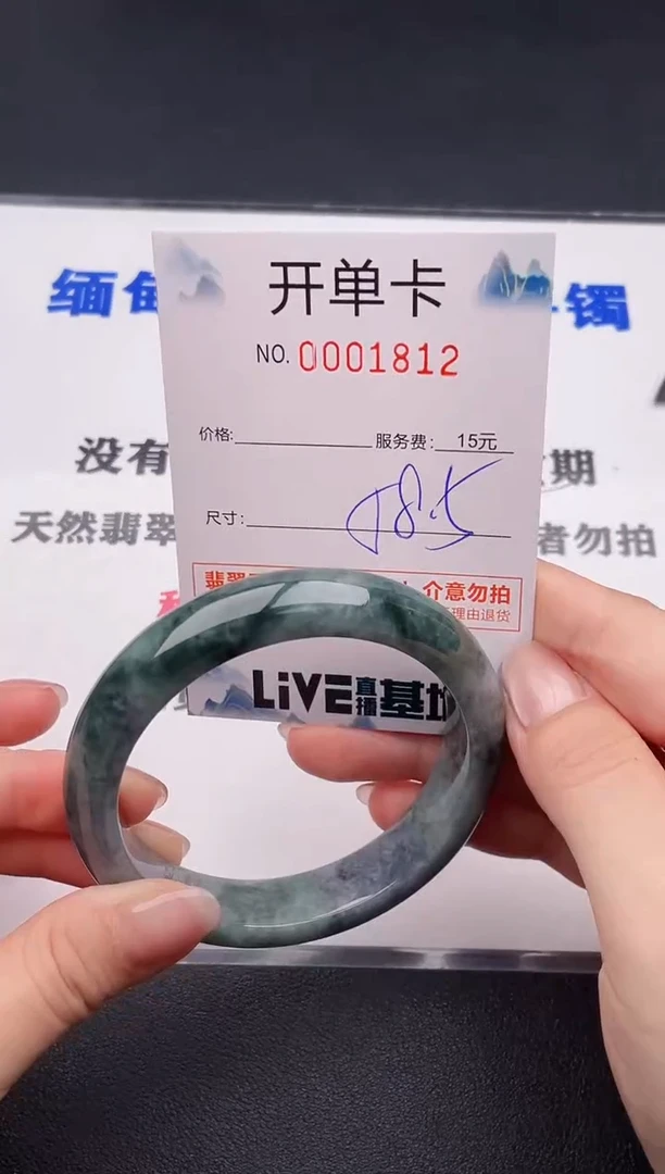 未镶嵌手镯翡翠12