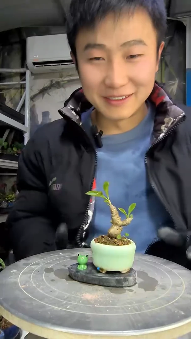 小***哭中青园艺一物一拍花160