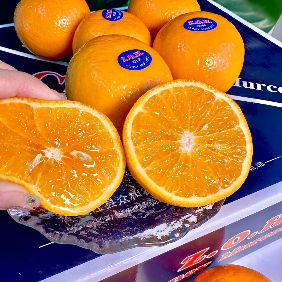 Z‘O‘H沃柑一箱毛重10斤左右