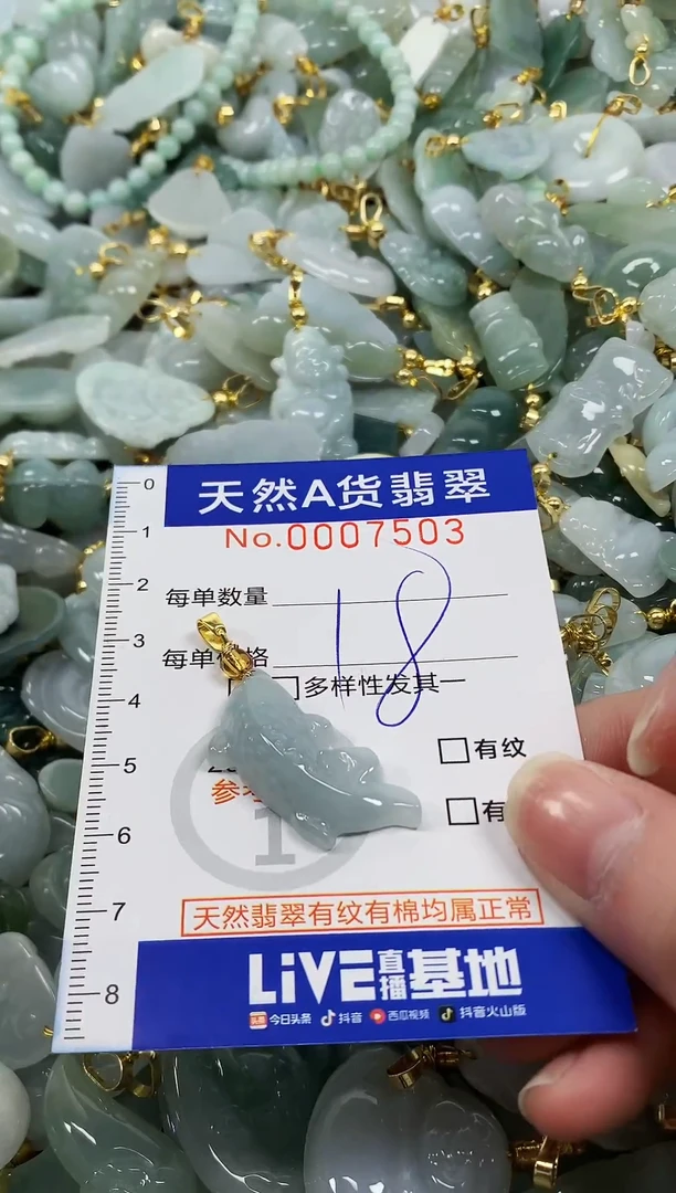 颈饰未镶嵌翡翠纯天然a货翡翠