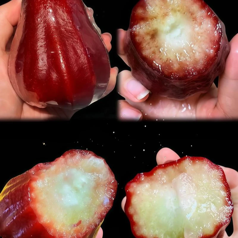 地出臻鲜海南黑金刚莲雾莲雾果新鲜应季清甜脆爽多汁热带水果