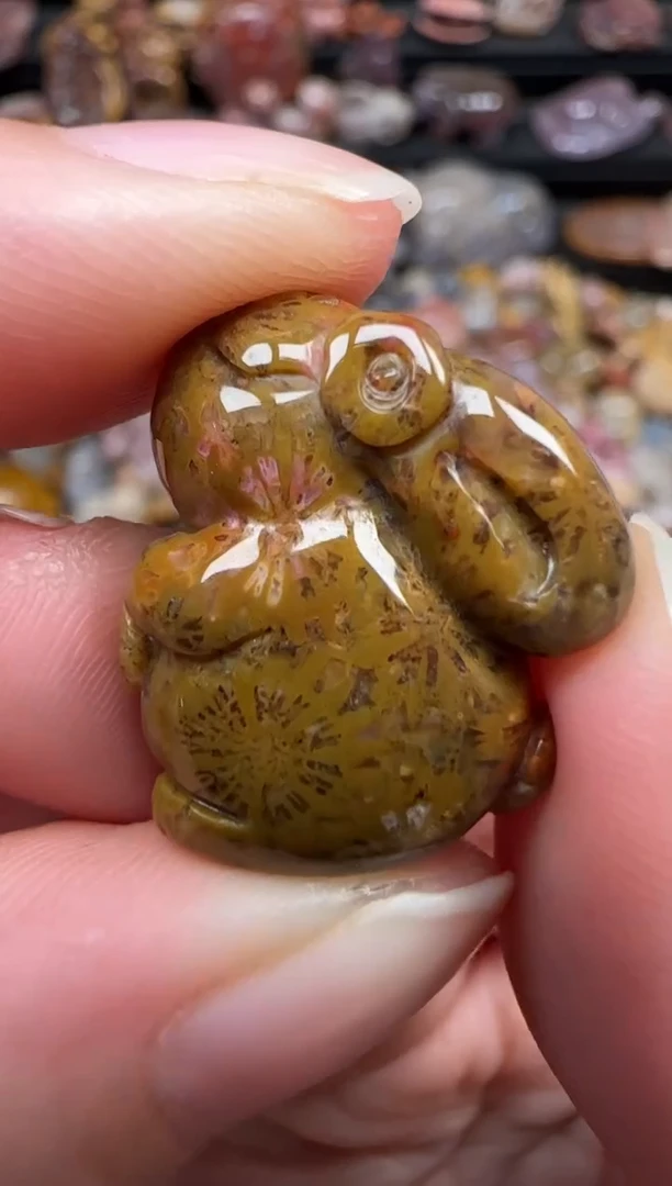 颈饰未镶嵌硅化珊瑚（珊瑚玉）367