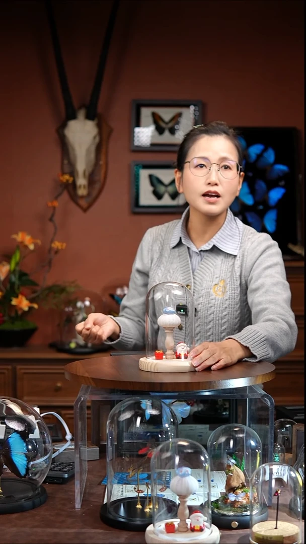 圣诞款海胆带灯 玻璃罩  常规