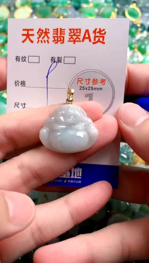 翡翠未镶嵌颈饰24000462