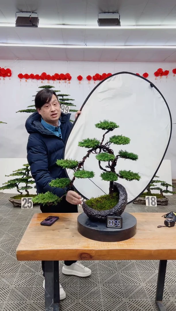 【闪购商品】盆景盆景