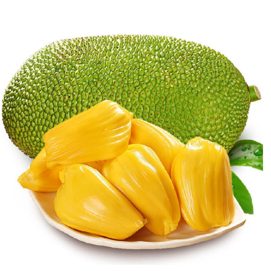 一级越南黄肉菠萝蜜一颗/约8-12斤