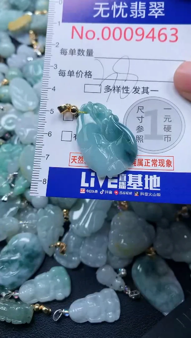 颈饰未镶嵌翡翠9463