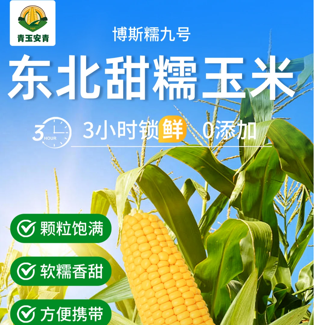 （主播专属东北博斯糯九号粘糯玉米12只装黄糯玉米（新鲜甜糯玉米