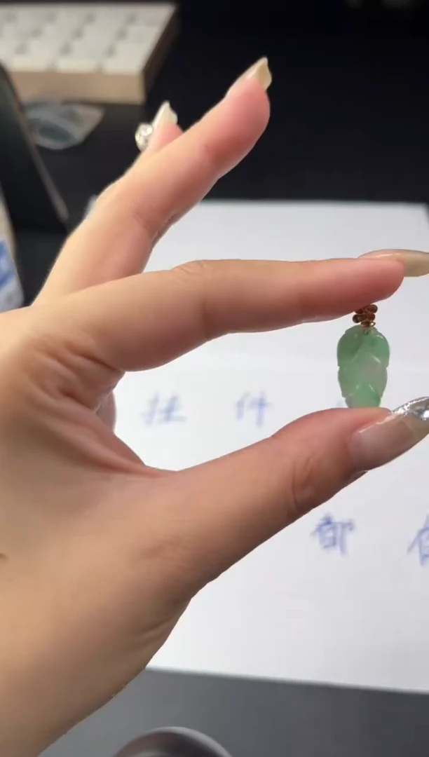 翡翠银S925镶嵌颈饰DY20250628119多样性发一件