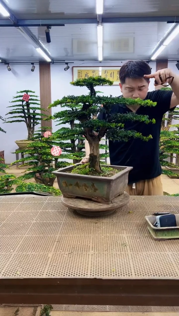 无花朵一物一拍，所见即所得