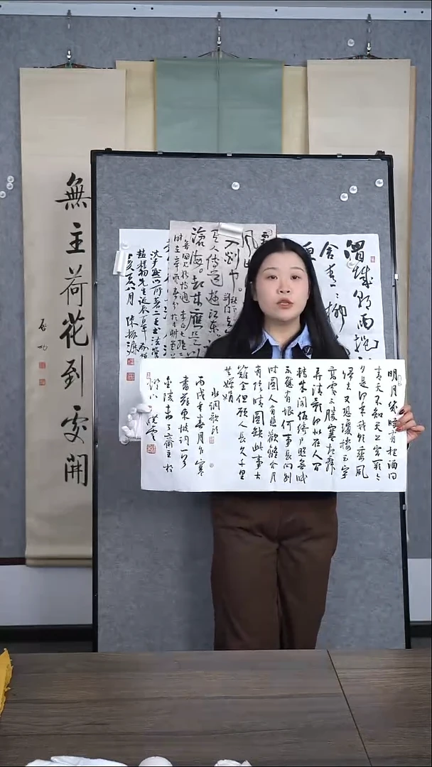 书法用***星孙老师作品