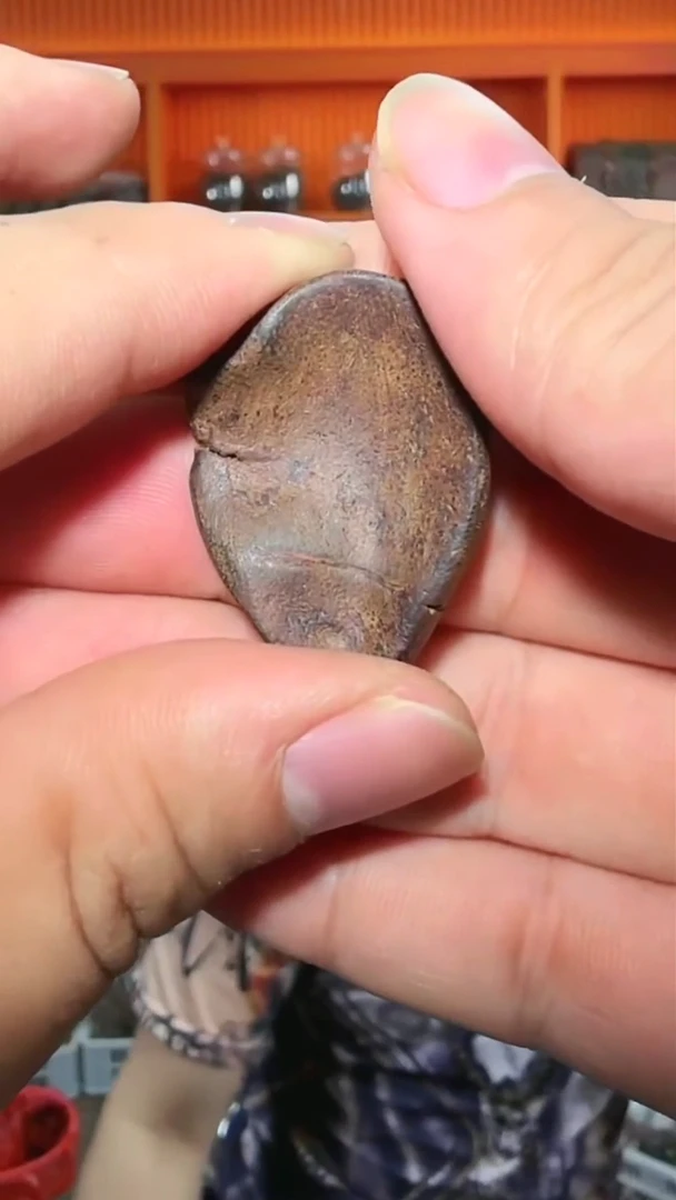 沉香吊坠51号红土多样性发一