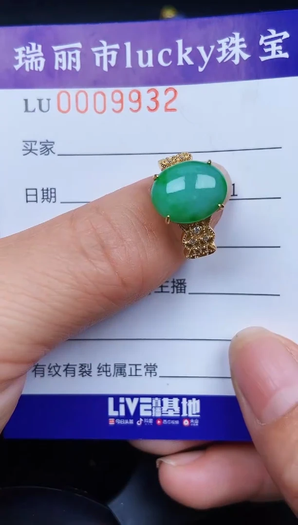翡翠银S925镶嵌颈饰9932