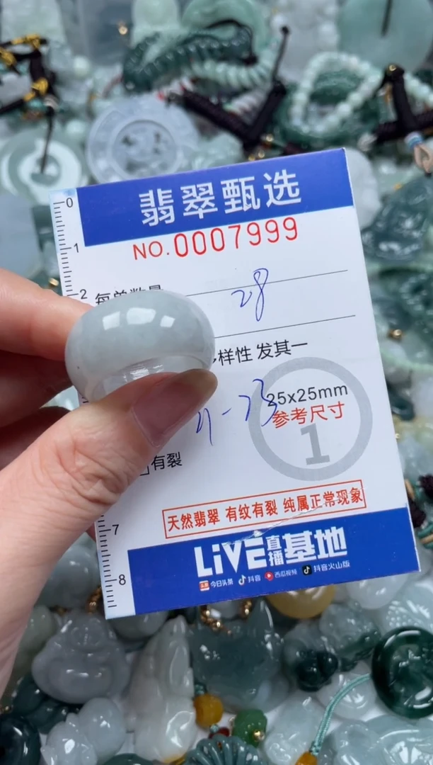 翡翠未镶嵌颈饰00..7999