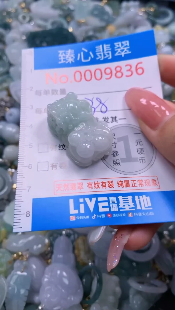 翡翠未镶嵌颈饰9836