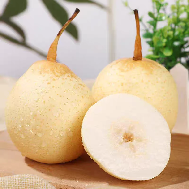 古鸭梨5斤包邮脆甜多汁