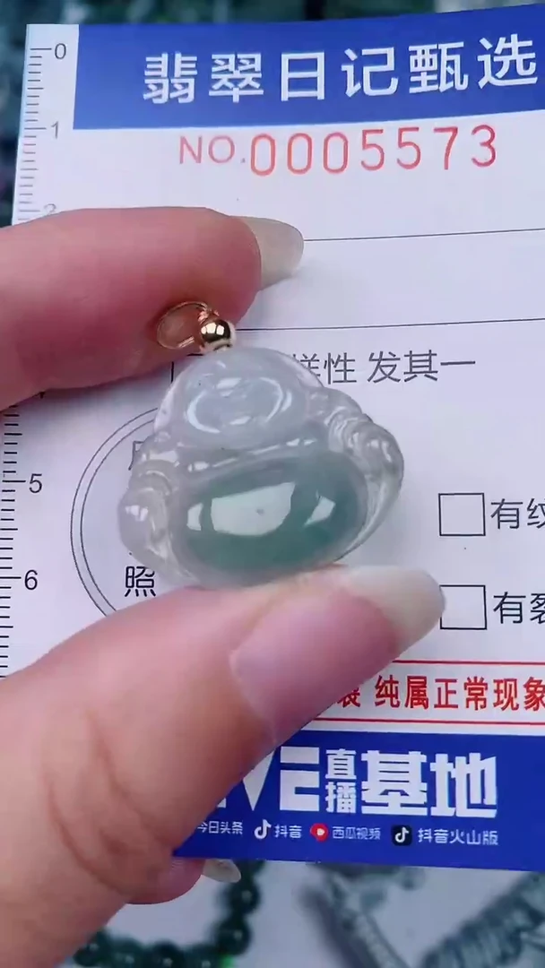 翡翠未镶嵌颈饰00005573