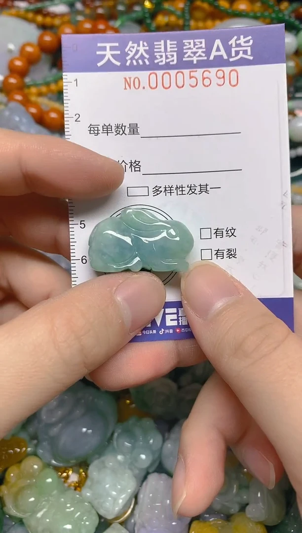 颈饰未镶嵌翡翠0005690