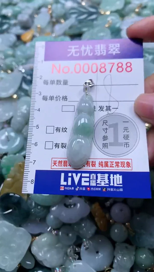颈饰未镶嵌翡翠8788