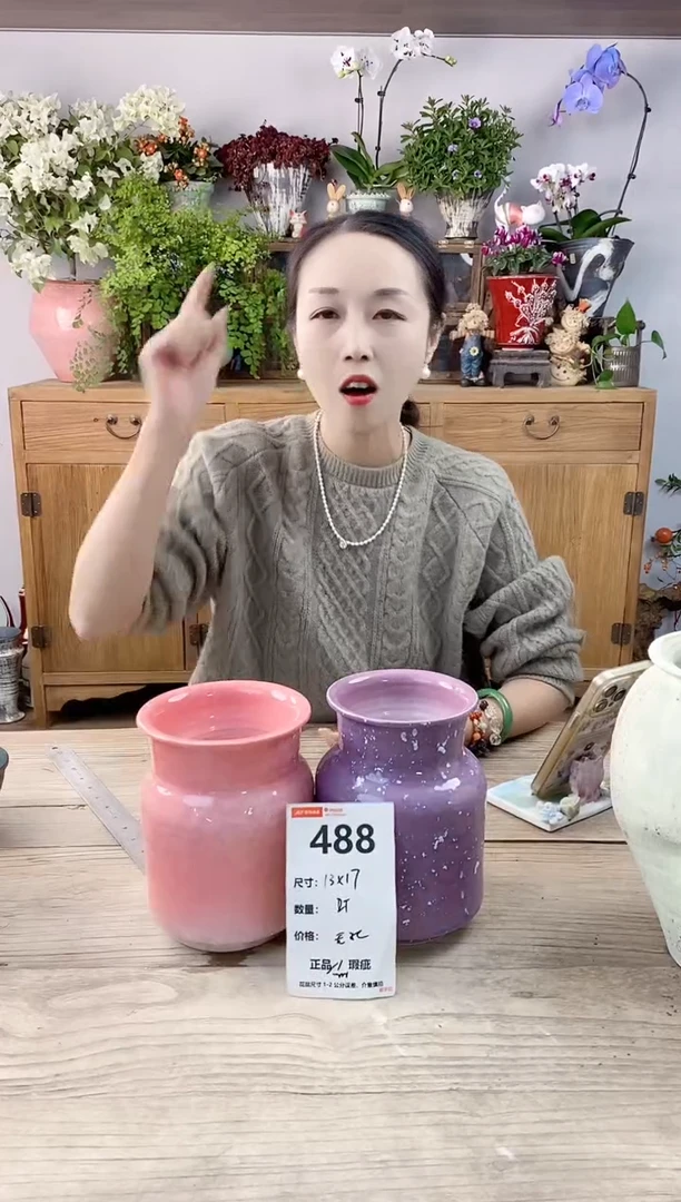 小玩子花盆直播编号488