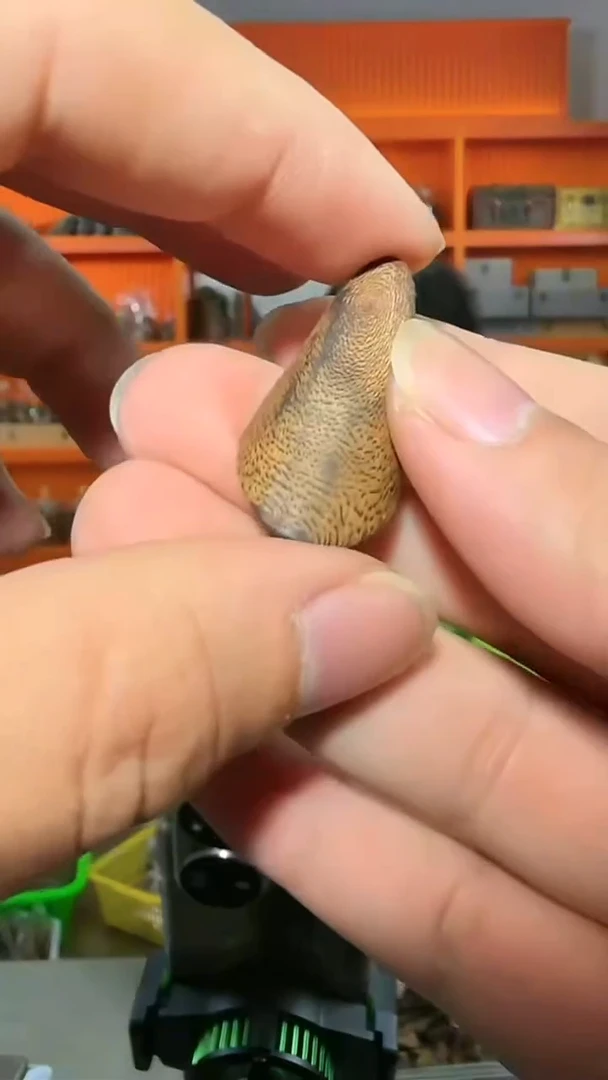 沉香吊坠251号多样性发一