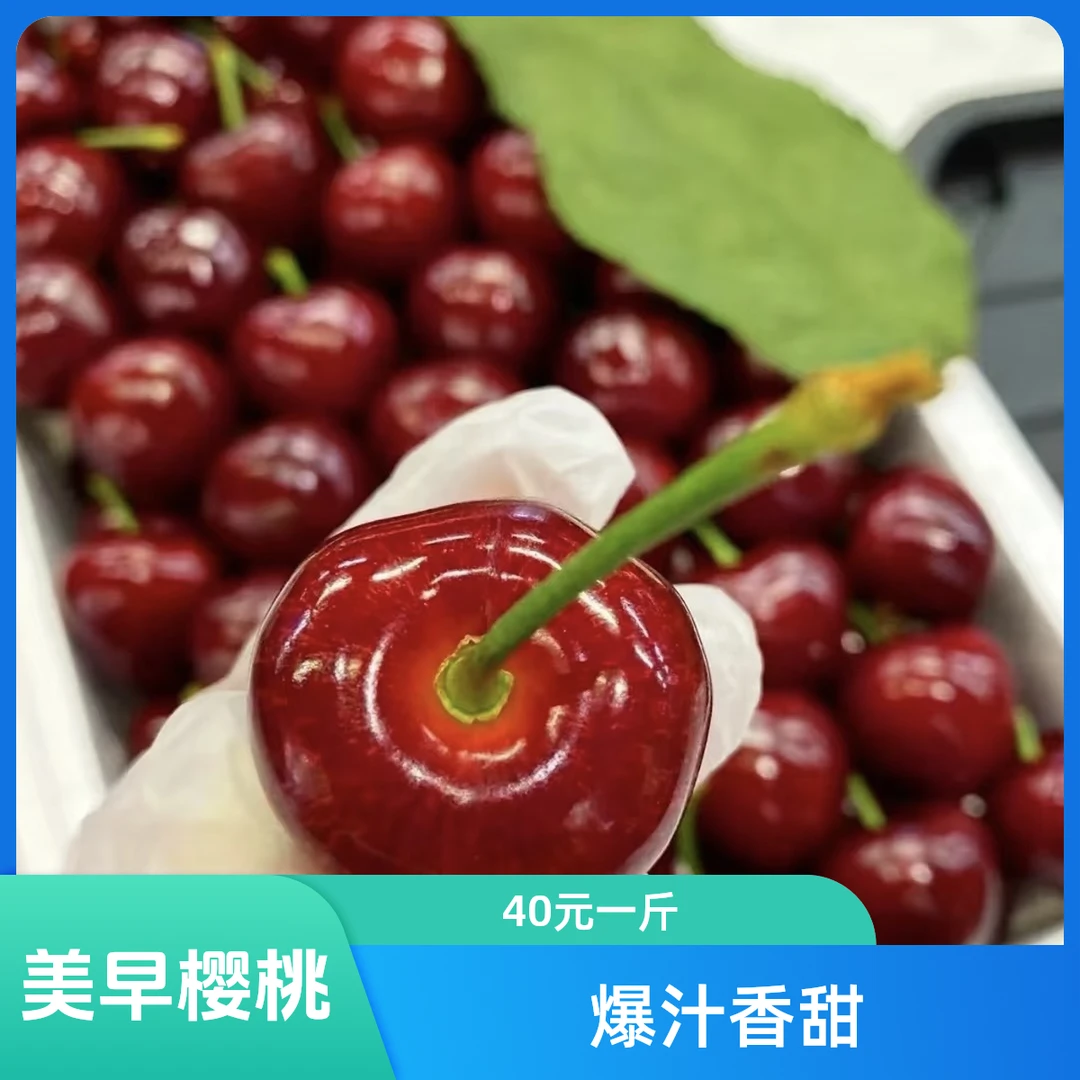 大连【美早】冷棚樱桃 3J- 6J （40元一斤）脆甜爆汁香甜美早辽宁省