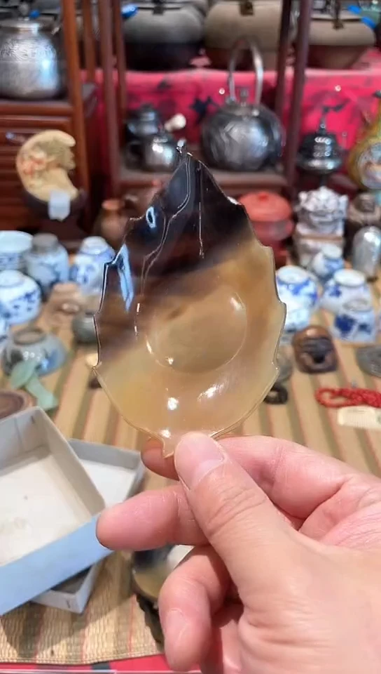 发发发发发发发发发发