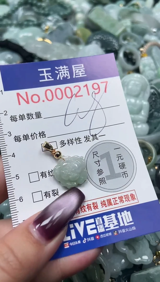 颈饰未镶嵌翡翠2197