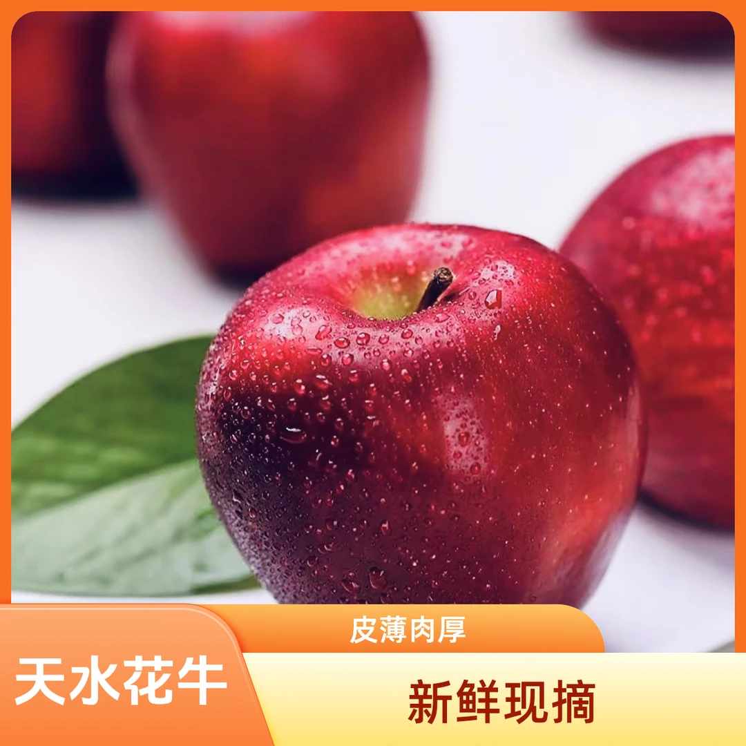 【精选好果】甘肃天水花牛苹果现摘 新鲜水果 皮薄肉厚 粉脆两吃