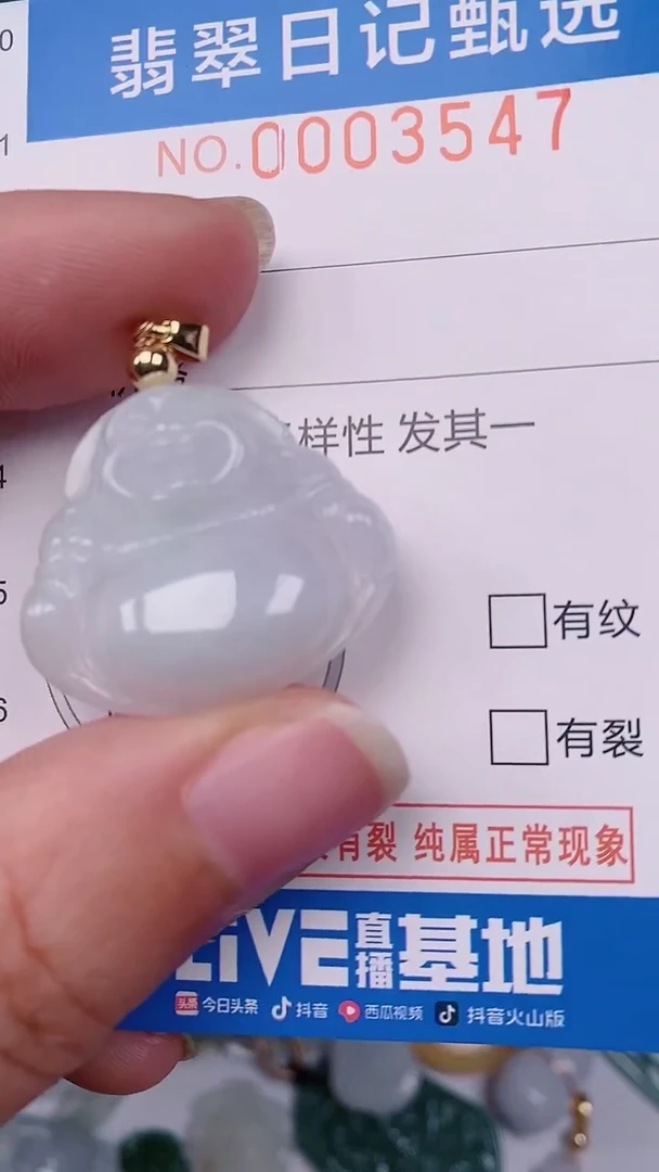 【闪购商品】翡翠颈饰未镶嵌00003547