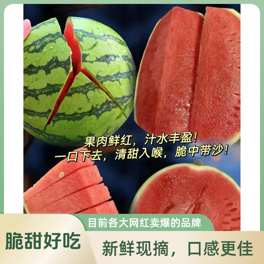 春春麒麟无籽瓜-一款热度很高的西瓜-脆甜的