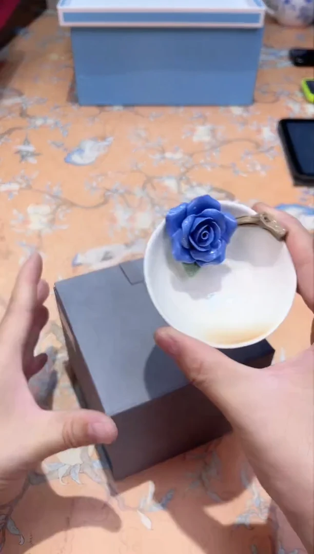 【闪购商品】瓷片D6-009*********