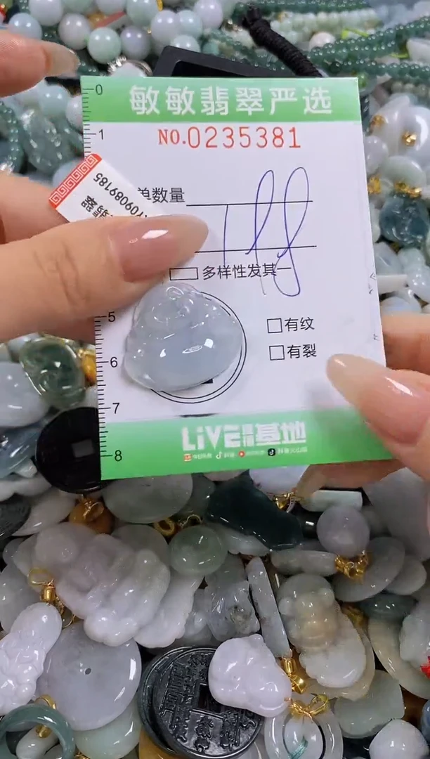 翡翠未镶嵌颈饰闪购0235381