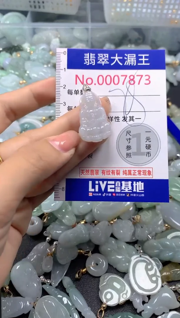 颈饰未镶嵌翡翠7873