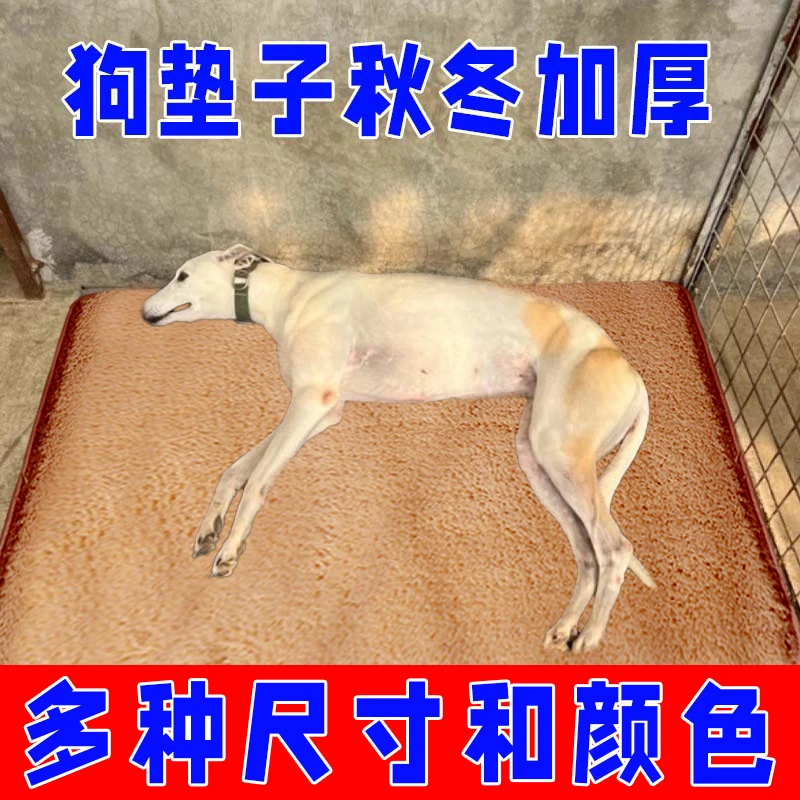 毛绒秋冬加厚狗垫子防撕咬加大保暖用可拆洗宠物地垫大中小型猫犬