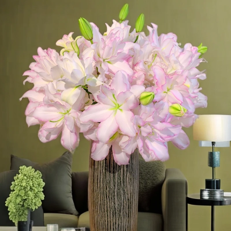 云南木木花卉 冰美人 重瓣香水百合浪漫雅致清新芳香层次感鲜花