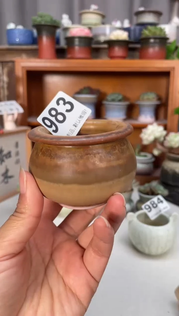 瓷片983福利知木小芳花盆